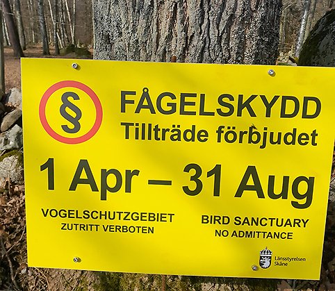 Skylt som står ute på öar med beträdnadsförbud 1 april-31 augusti.