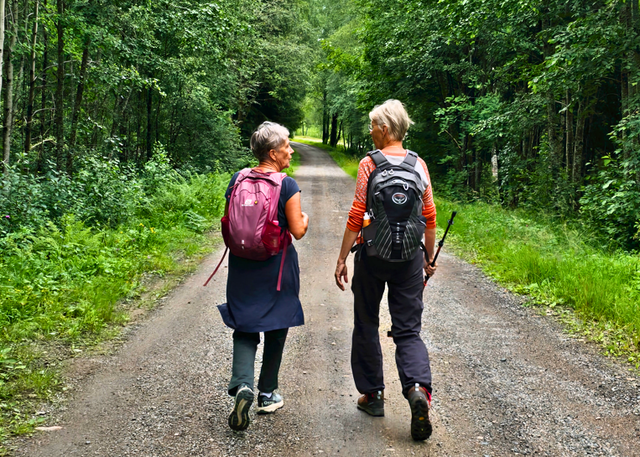 Walk the historic pilgrimage trail of St Olav Rombo Way in Ludvika.