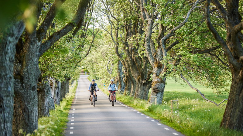 Cyklar du Unionsleden? Hjälp oss genom att svara på några frågor