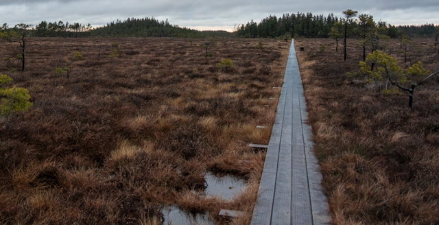 Komosse, Naturreservat