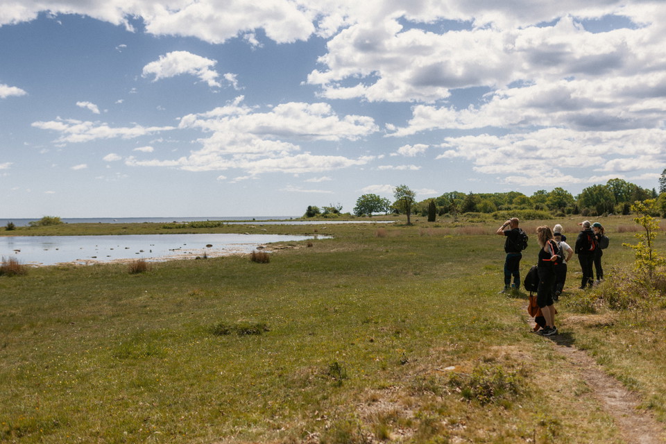 Strandäng, Värnanäs naturreservat