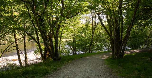 Säveån- Hedefors, Naturreservat