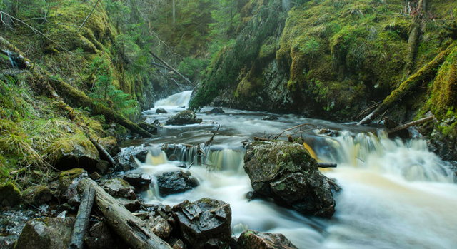 Slipstensleden i styggforsens naturreservat 