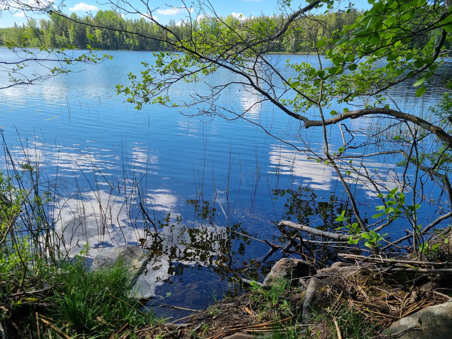 Skogstorp rundslinga följer Älgsjöns norra strand.