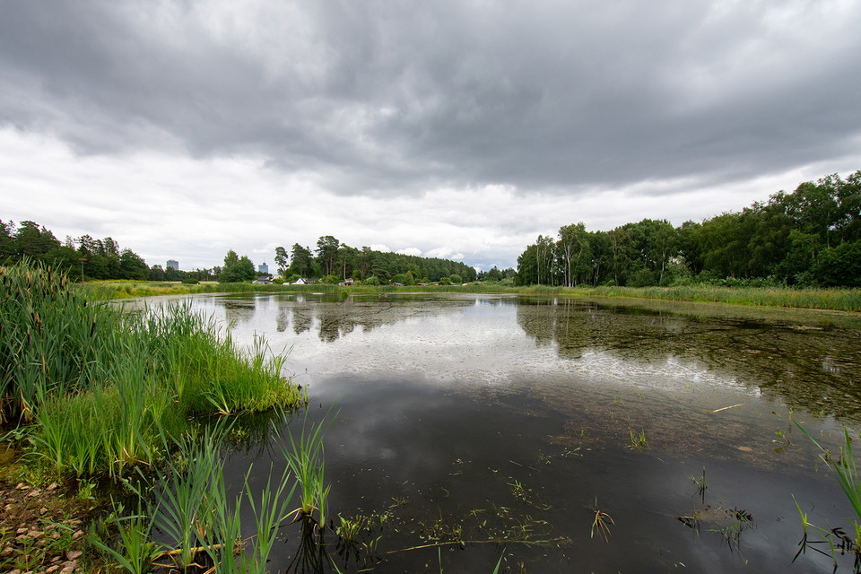 Foto: Johan Pontén