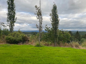 Utsikten