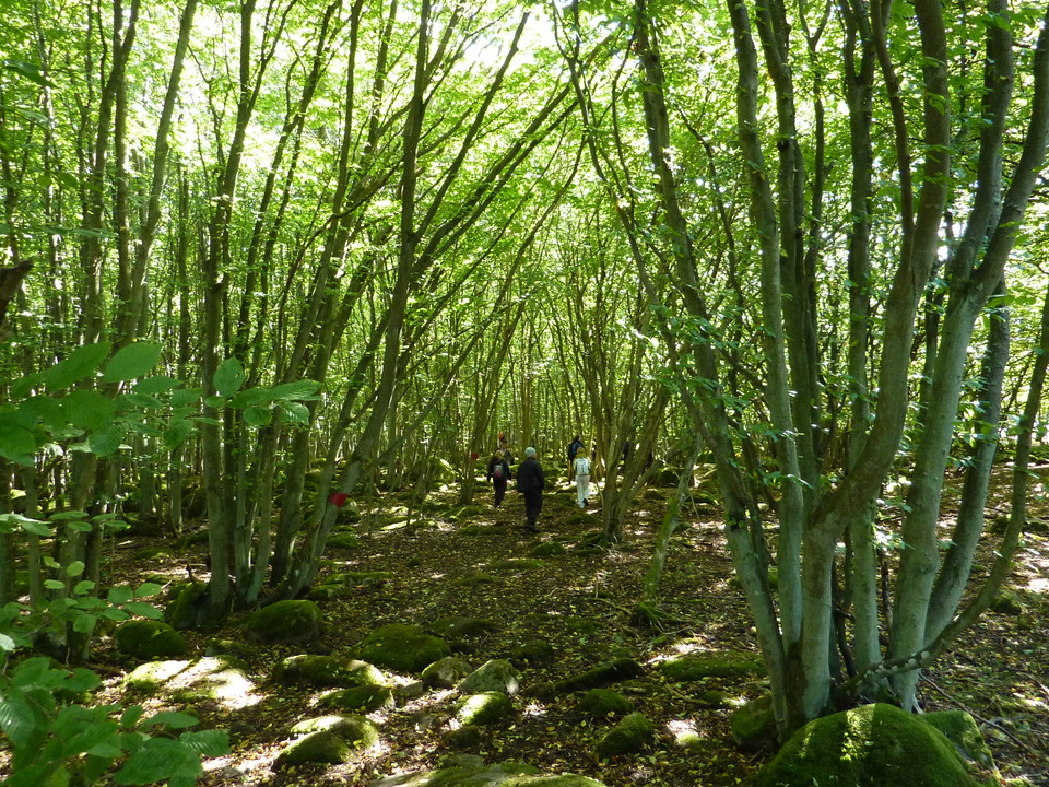 The hiking trails on Hanö are currently being upgraded