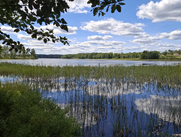 Örsjö vandringsled - etapp 1