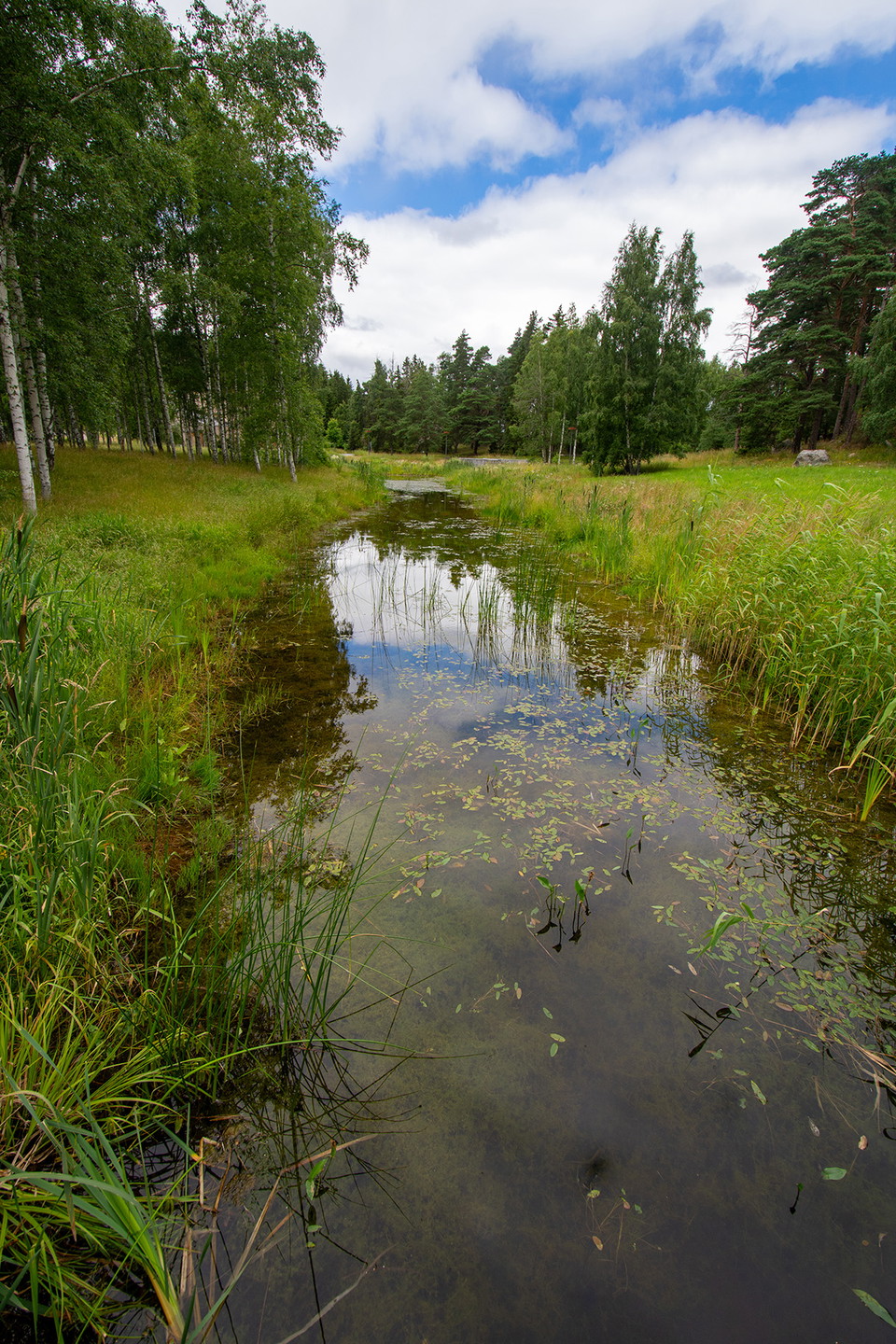 Foto: Johan Pontén