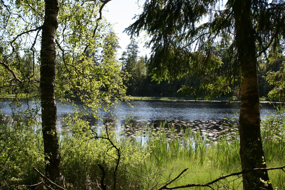 vanersborg