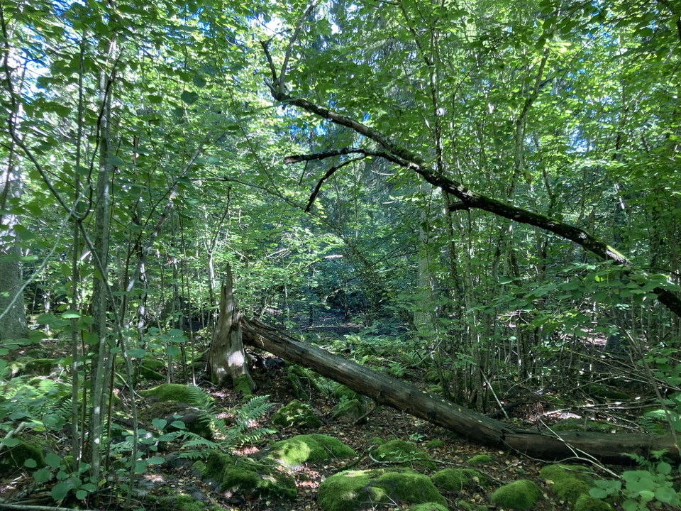 Hassellund, Lohärads prästgård.
