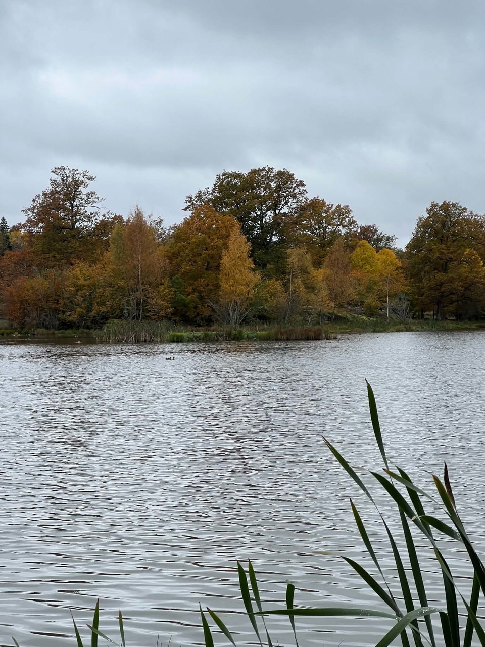 Frökärret, Tinnerö Eklandskap