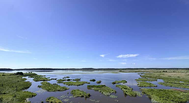 Utsikt över Asköviken i sommarsol.