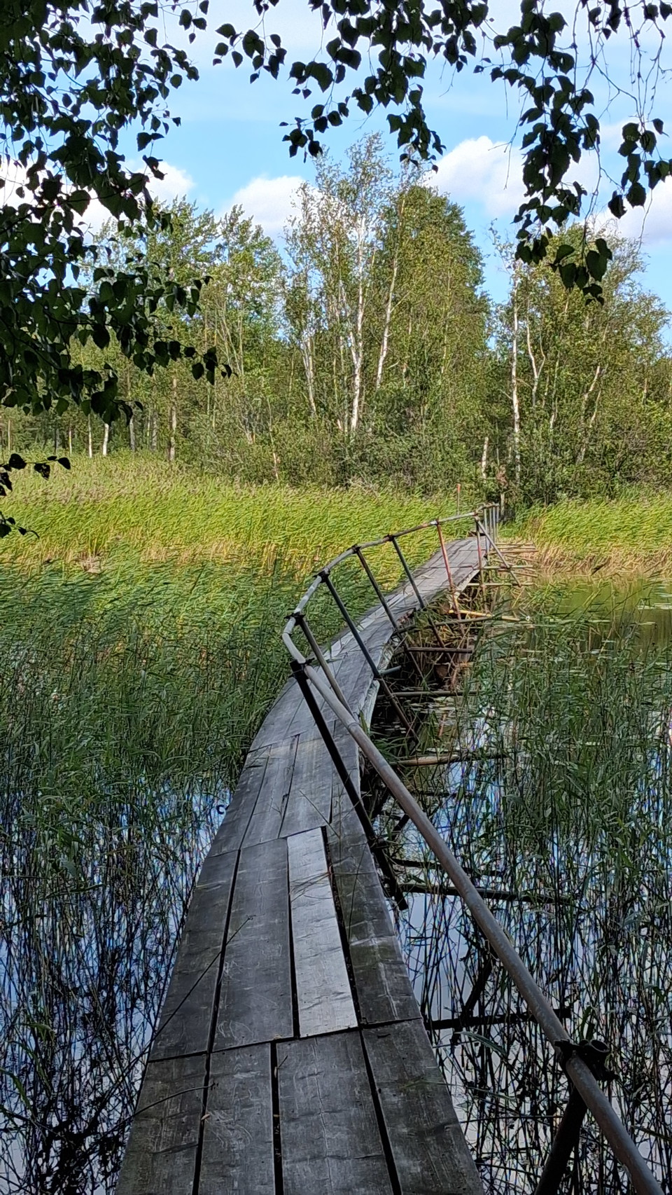 Billede