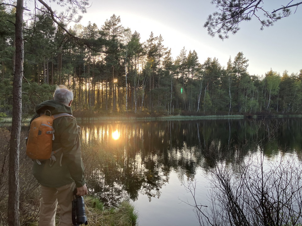 ljudspåret vid Stavsjö