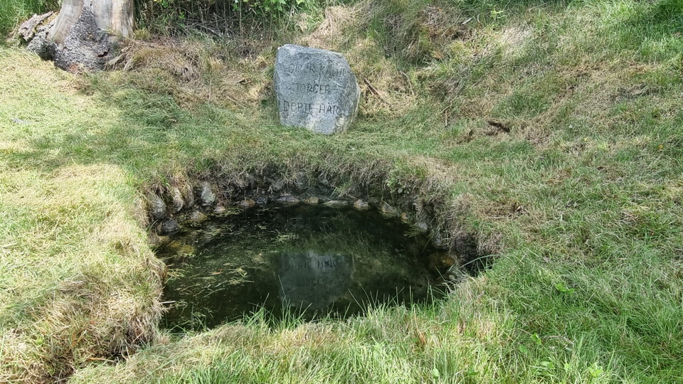 Torgeirs källa