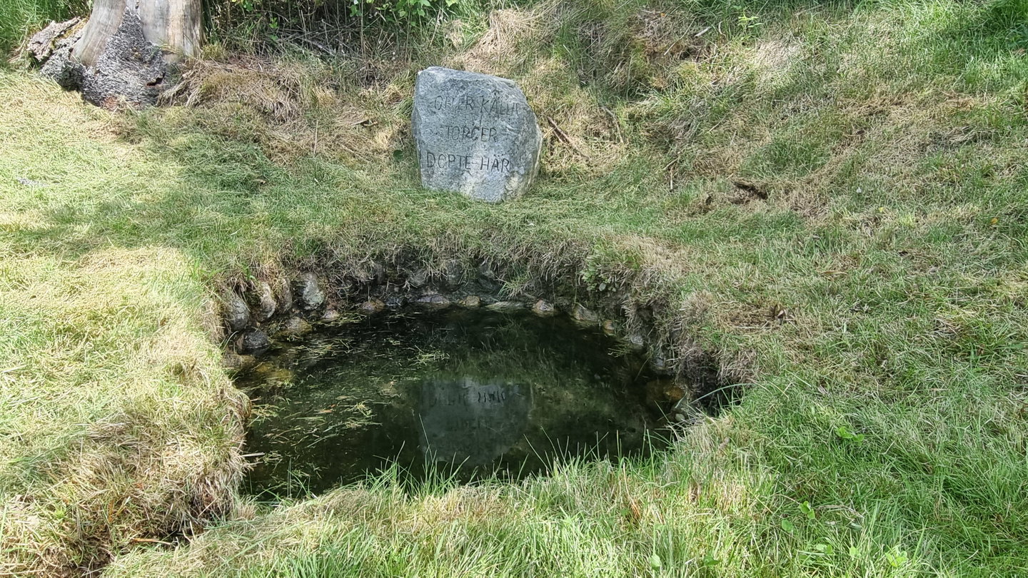 Torgeirs källa