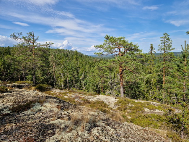 Rötjärnberget
