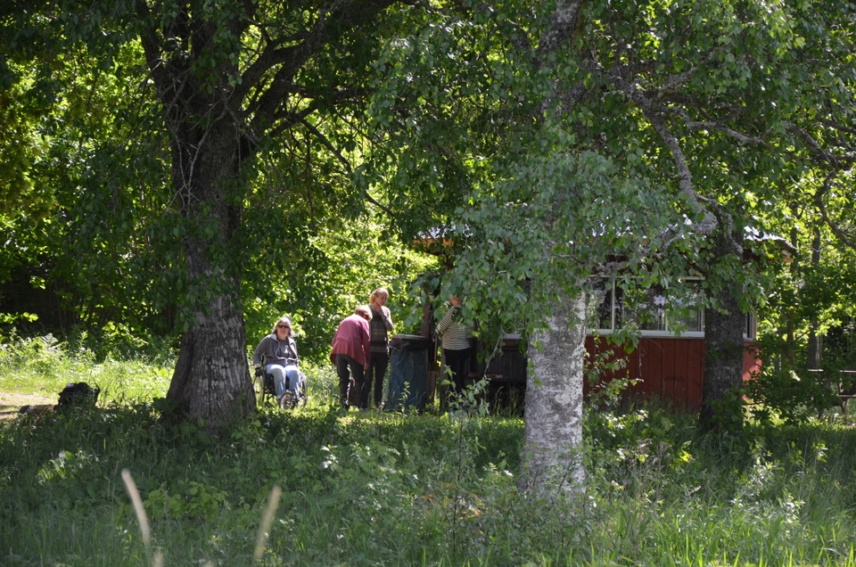 Lummig grönska, med några människor och en grillkåta i mitten.