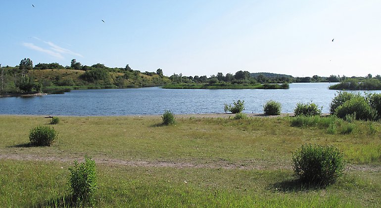 Arriesjön.