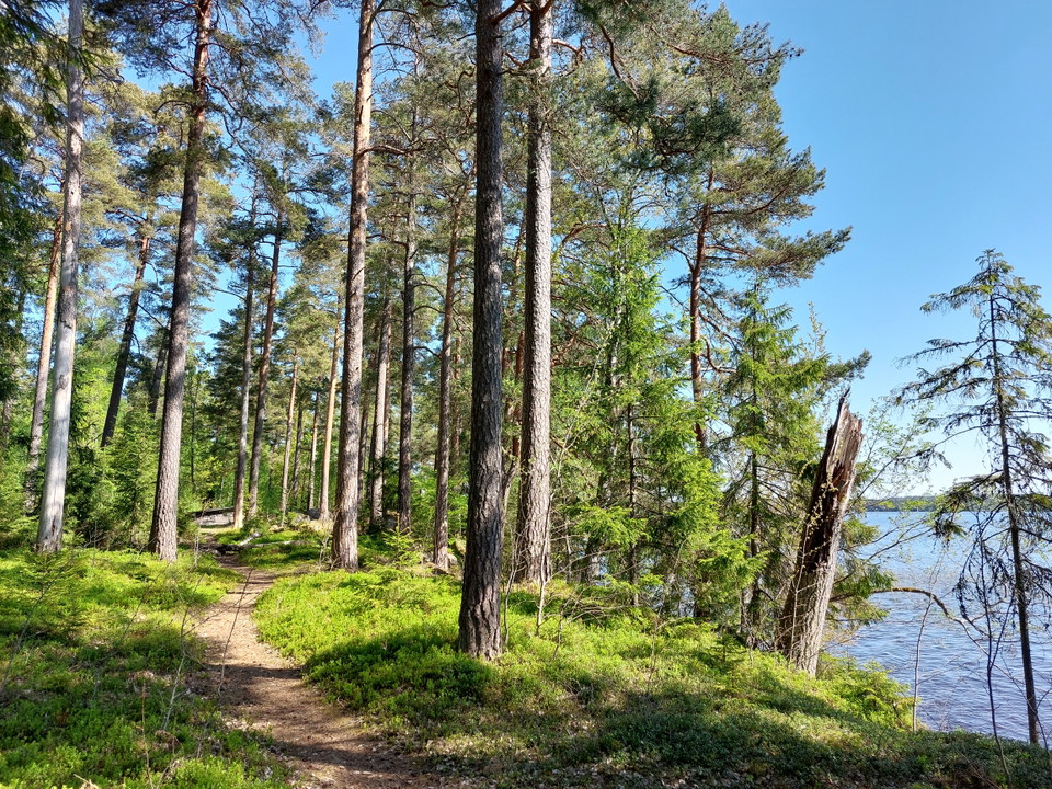 Sjönära stig till vindskyddet