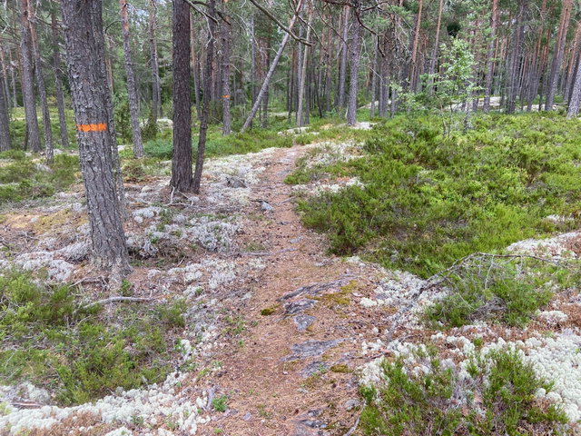 Upplandsleden, etapp 14, Lövstabruk–Västland (Vikingaleden, etapp 10)