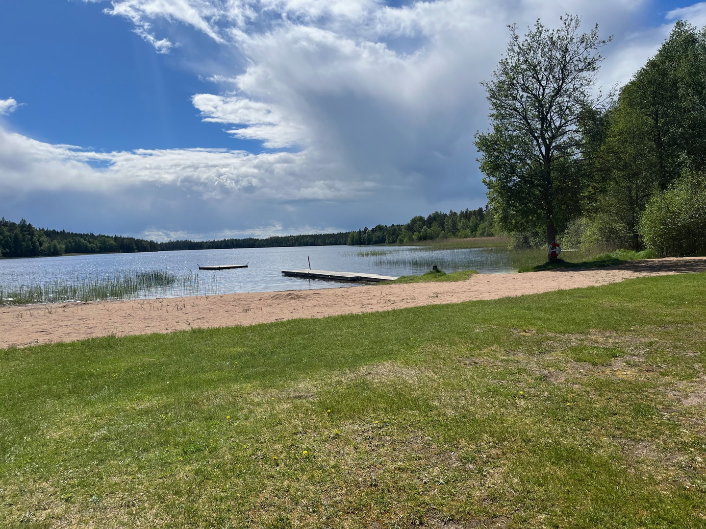 En gräsyta och sandstrand intill en sjö.