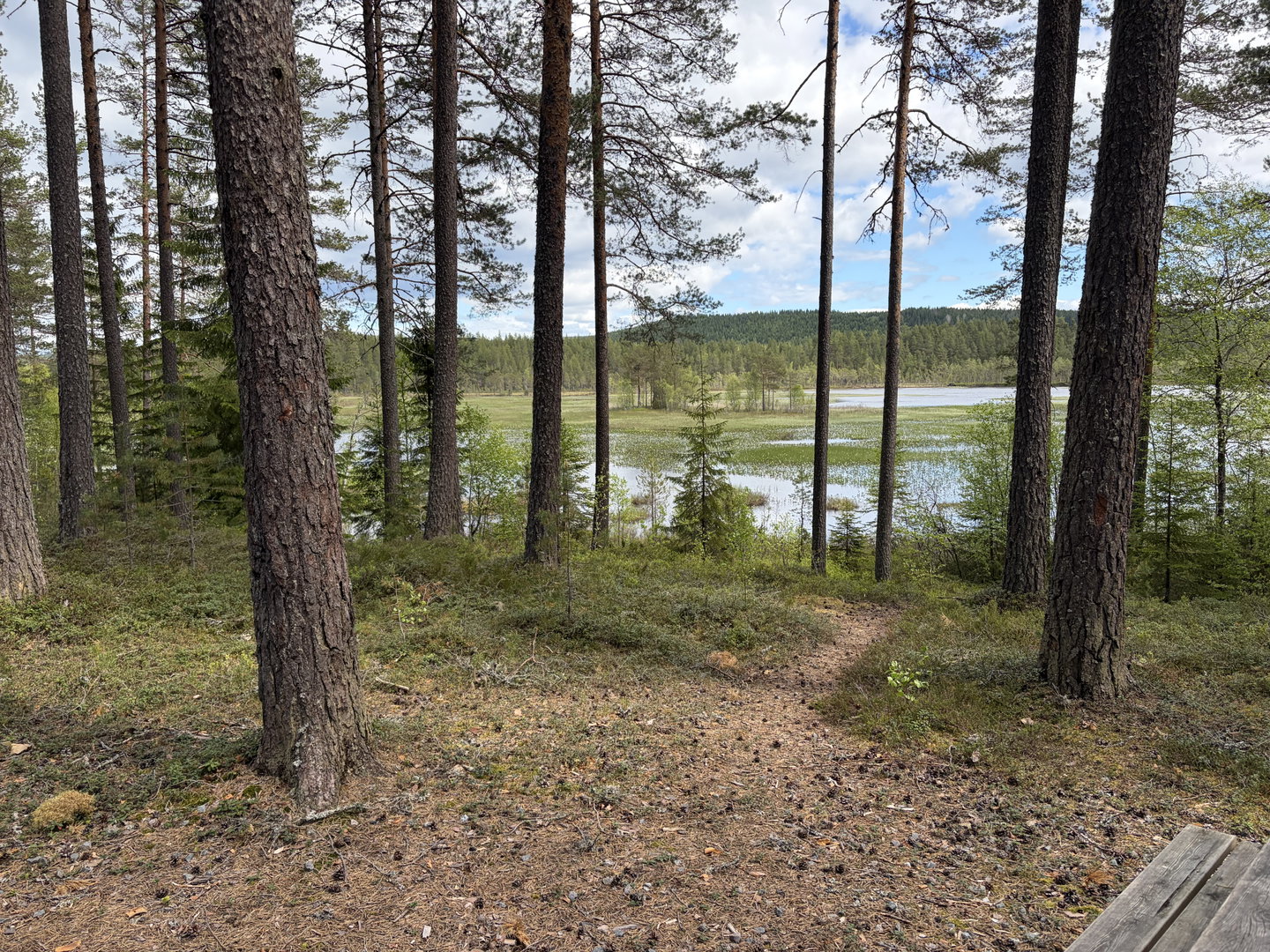 Sjön Flogen