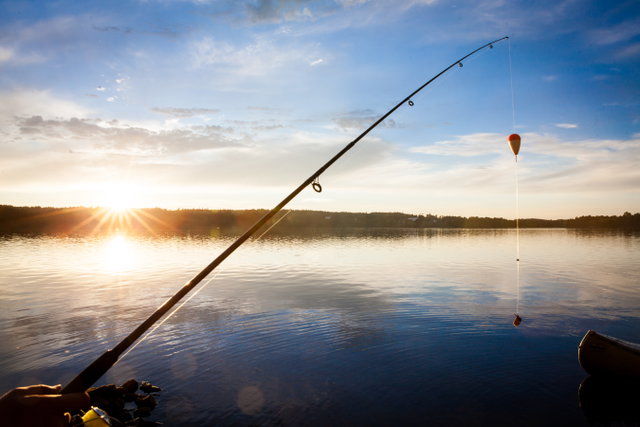 Fiskesjöar