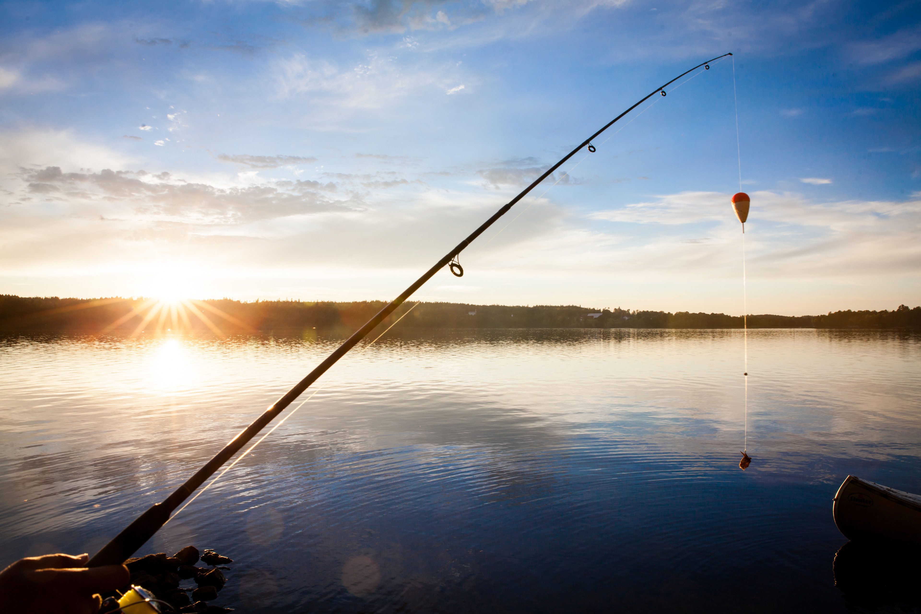 Fiskesjöar