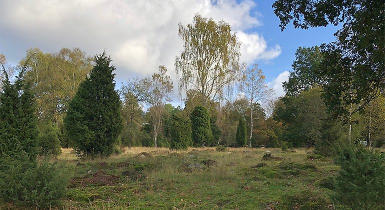 Betad, buskprydd fäladsmark.