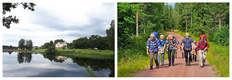Vandra längs pilgrimsleden Romboleden bland Bergslagens skogar och bruk.