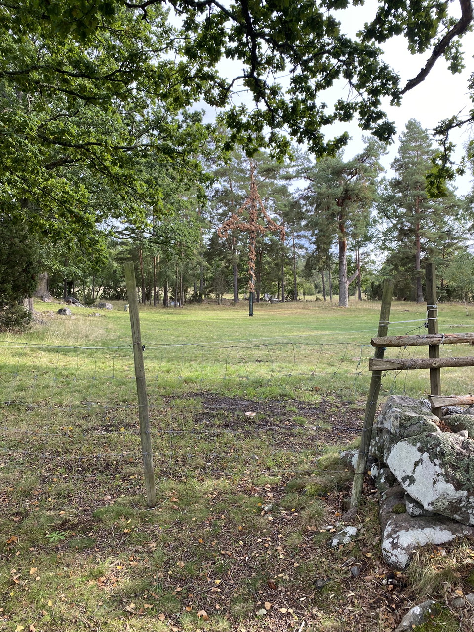 Hästenäs, vissnad midsommarstång