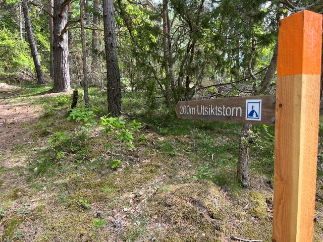Vägval 1 till Gryt utsiktstorn
