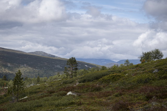 Storvätteshågna västerifrån