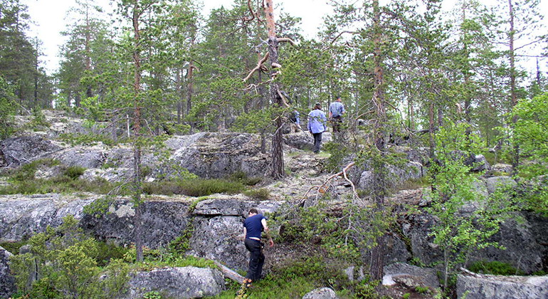 Upptäcksfärd över hällmarkerna i Torrbergstjärn.
