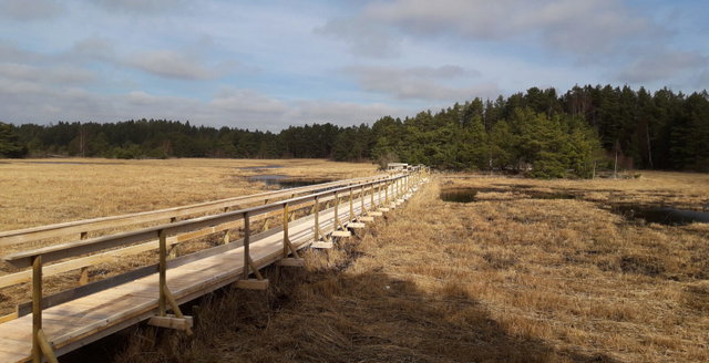 Yttre Bodane, Naturreservat