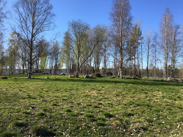 Olars näs 