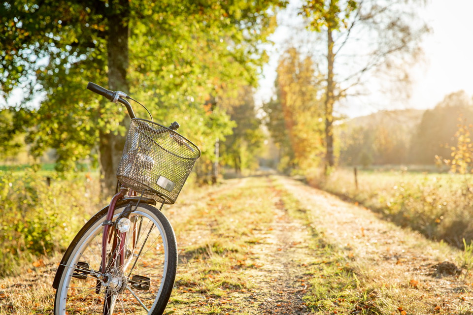 Cykla i Fegen