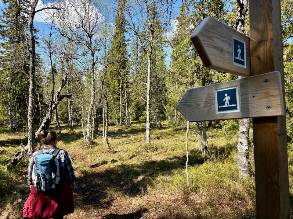 Vandringsleden Alsberget runt.