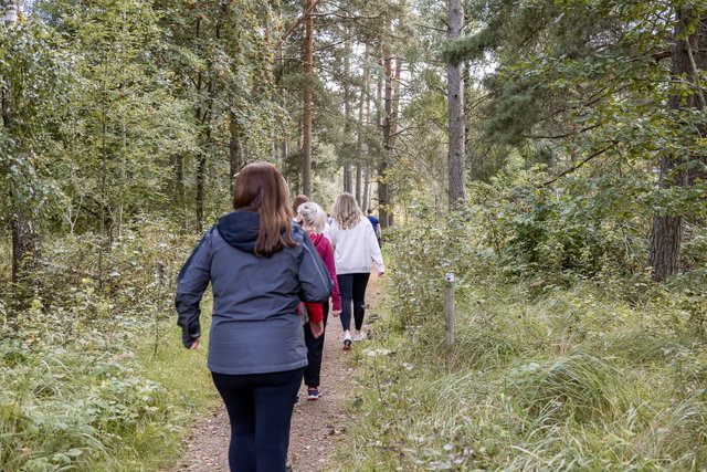 Motinsspår Burseryd