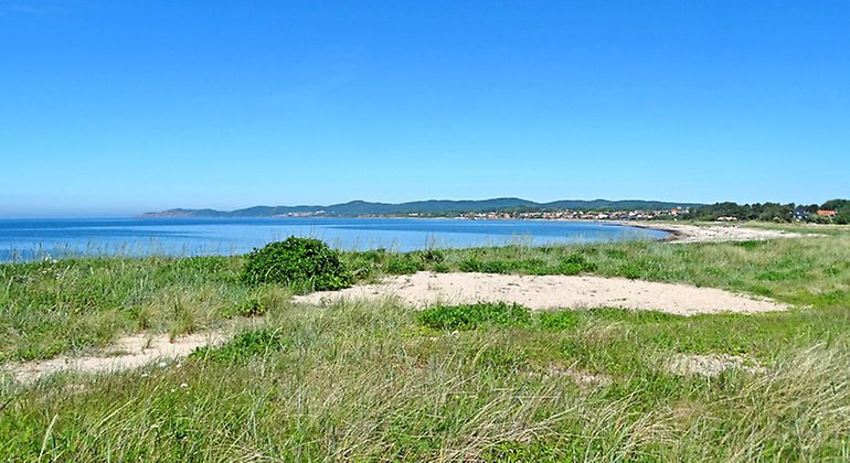 Kustnära strandhed.
