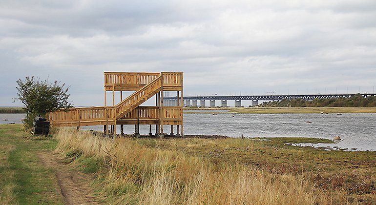 Fågeltornet i norra delen av reservatet.