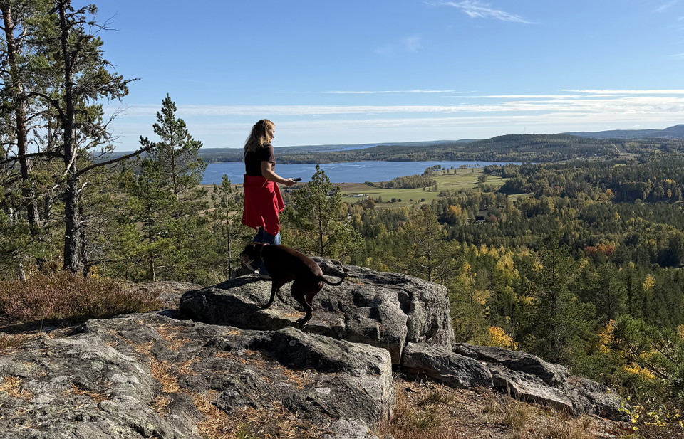Söderhamn Zdjęcie
