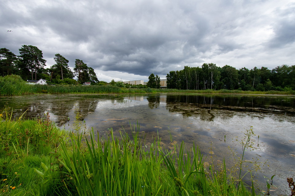 Foto: Johan Pontén