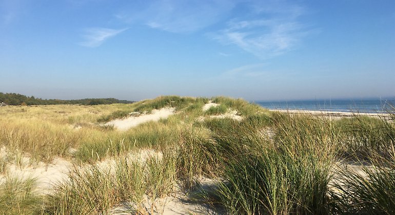 Sanddyner vid havet.