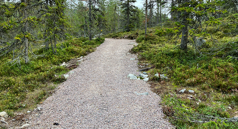 Mindre stenar förekommer i kanterna på den grusade leden.