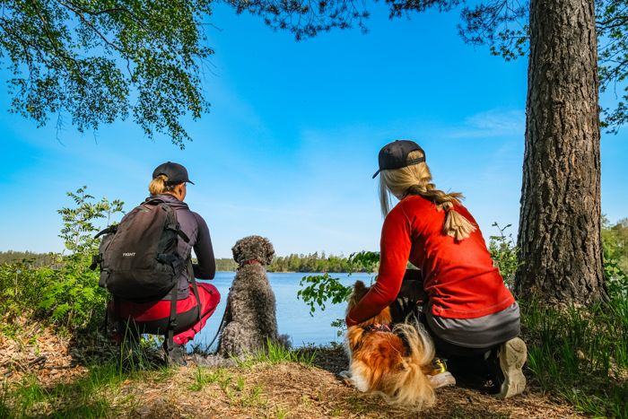 Njut i Hyltebygden med din fyrbenta vän