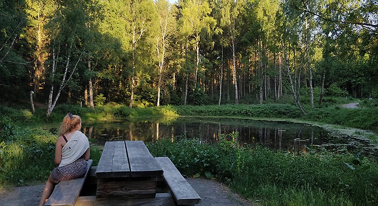 Rastplats vid damm i Kronoskogen.