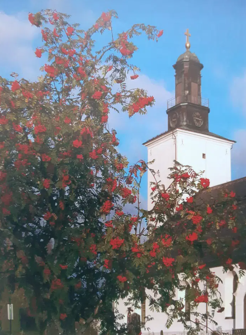 Pilgrim walk St Olav Rombo Way in Ludvika with comfortable stay & breakfast